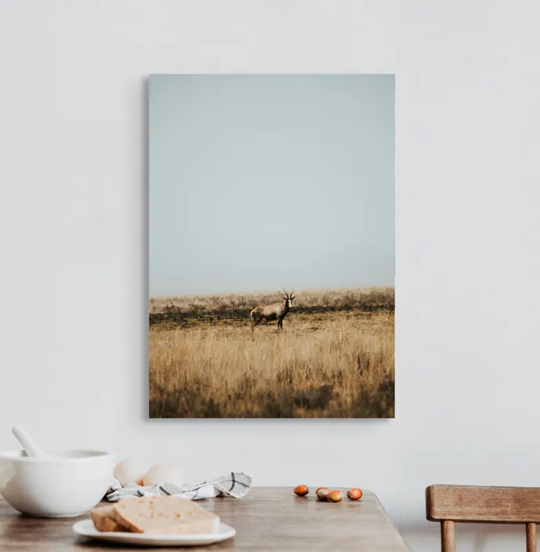 Tablou Canvas, "Cerbul singuratic în savana pustie", Cer, Cerb, Câmpie, Solitudine, Natură, Serenitate, Peisaj, Calm, Izolare, Pajiște, 50 x 70 cm – poza 3