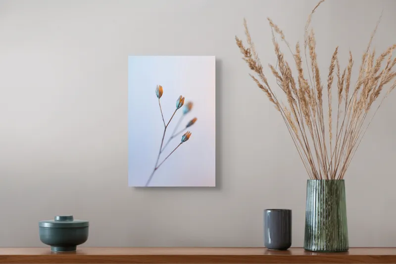 Tablou Canvas, "Frumusețea delicată a florilor uscate", Floare, Subtil, Delicat, Pastel, Natură, Simplu, Serin, Atingere, Fragilitate, 26 x 39 cm – poza 5