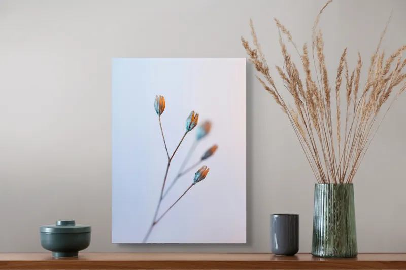 Tablou Canvas, "Frumusețea delicată a florilor uscate", Floare, Subtil, Delicat, Pastel, Natură, Simplu, Serin, Atingere, Fragilitate, 39 x 54 cm – poza 3