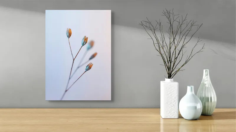 Tablou Canvas, "Frumusețea delicată a florilor uscate", Floare, Subtil, Delicat, Pastel, Natură, Simplu, Serin, Atingere, Fragilitate, 39 x 54 cm – poza 4
