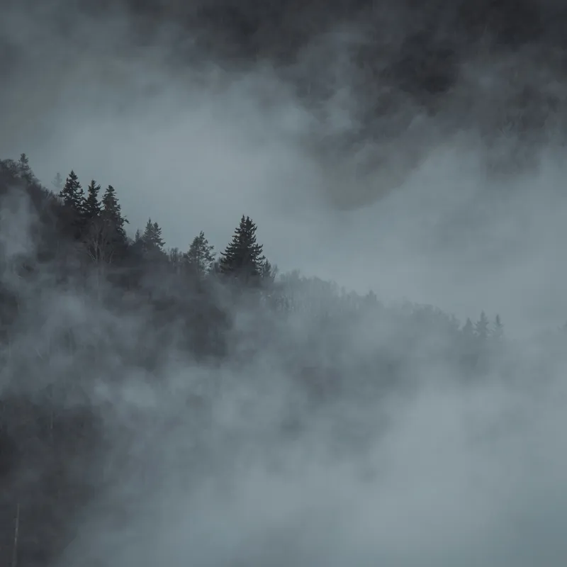 Tablou Canvas, "Pădurea cufundată în ceață albăstruie", Ceață, Pădure, Mister, Tăcere, Umbre, Întuneric, Liniște, Vârfuri, Melancolie, Natură, 100 x 100 cm – poza 2