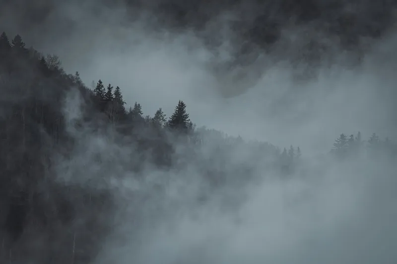 Tablou Canvas, "Pădurea cufundată în ceață albăstruie", Ceață, Pădure, Mister, Tăcere, Umbre, Întuneric, Liniște, Vârfuri, Melancolie, Natură, 150 x 100 cm – poza 2