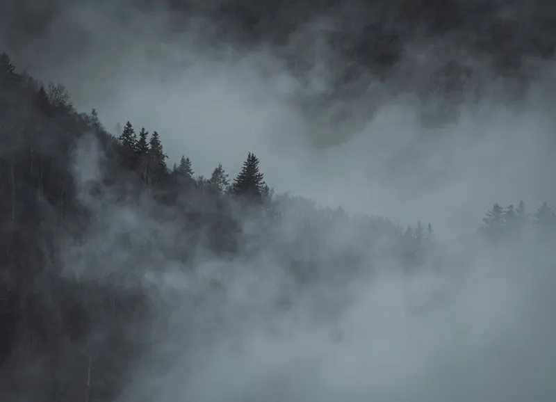 Tablou Canvas, "Pădurea cufundată în ceață albăstruie", Ceață, Pădure, Mister, Tăcere, Umbre, Întuneric, Liniște, Vârfuri, Melancolie, Natură, 54 x 39 cm – poza 2