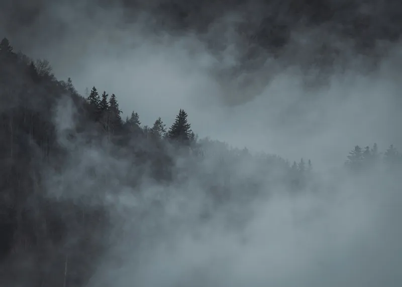 Tablou Canvas, "Pădurea cufundată în ceață albăstruie", Ceață, Pădure, Mister, Tăcere, Umbre, Întuneric, Liniște, Vârfuri, Melancolie, Natură, 70 x 50 cm – poza 2