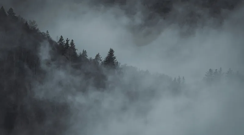 Tablou Canvas, "Pădurea cufundată în ceață albăstruie", Ceață, Pădure, Mister, Tăcere, Umbre, Întuneric, Liniște, Vârfuri, Melancolie, Natură, 90 x 50 cm – poza 2