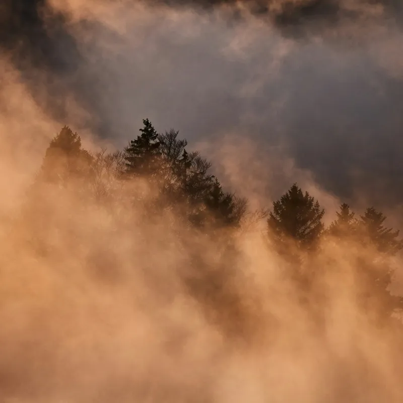 Tablou Canvas, "Misterul pădurii încremenite în ceață", Nor, Aur, Pădure, Mister, Lumină, Umbre, Vârfuri, Ceață, Apus, Natură, 100 x 100 cm – poza 2