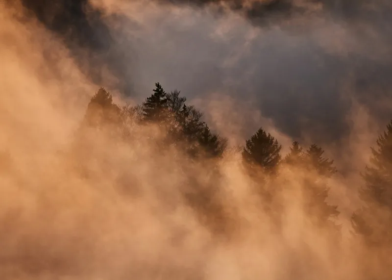 Tablou Canvas, "Misterul pădurii încremenite în ceață", Nor, Aur, Pădure, Mister, Lumină, Umbre, Vârfuri, Ceață, Apus, Natură, 70 x 50 cm – poza 2