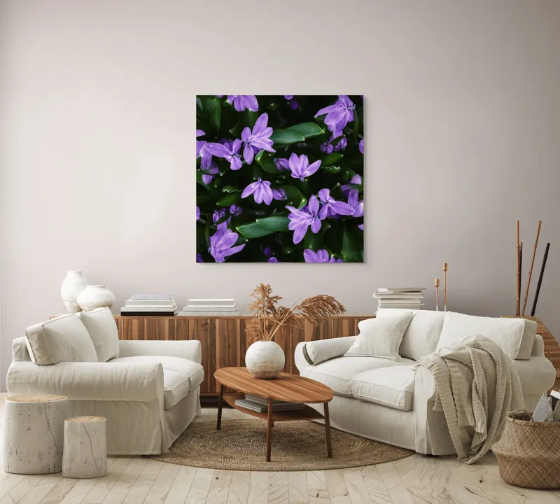 Tablou Canvas, "Splendoarea purpurie a primăverii", Flori, Violete, Petale, Natură, Verdeață, Frumusețe, Delicatețe, Prospețime, Primăvară, Eleganță, 100 x 100 cm – poza 3
