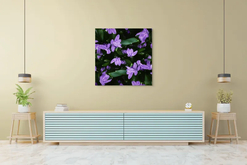 Tablou Canvas, "Splendoarea purpurie a primăverii", Flori, Violete, Petale, Natură, Verdeață, Frumusețe, Delicatețe, Prospețime, Primăvară, Eleganță, 100 x 100 cm – poza 5