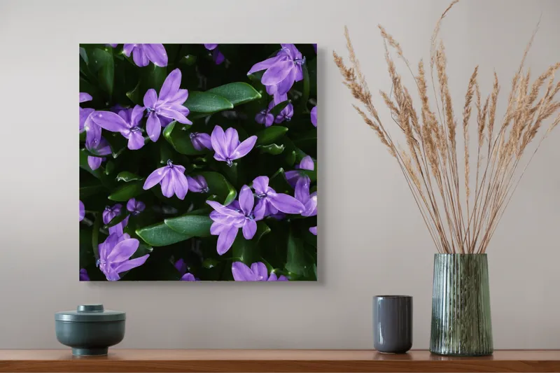 Tablou Canvas, "Splendoarea purpurie a primăverii", Flori, Violete, Petale, Natură, Verdeață, Frumusețe, Delicatețe, Prospețime, Primăvară, Eleganță, 50 x 50 cm – poza 4