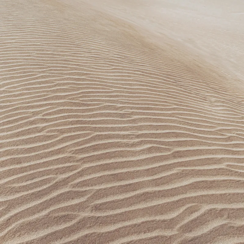 Tablou Canvas, "Mireasma liniștită a dunei înalte", Nisip, Dune, Texturi, Vânt, Liniște, 100 x 100 cm – poza 2