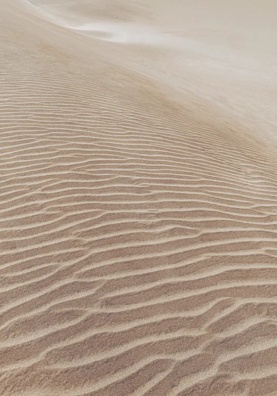 Tablou Canvas, "Mireasma liniștită a dunei înalte", Nisip, Dune, Texturi, Vânt, Liniște, 70 x 100 cm – poza 2