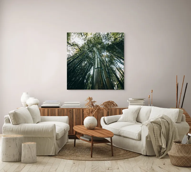 Tablou Canvas, "Pădurea de bambus înălțându-se spre cer", Verde, Bambus, Înalt, Natură, Cer, Frunziș, Lumină, Perspectivă, Tulpină, Vitalitate, 100 x 100 cm – poza 3