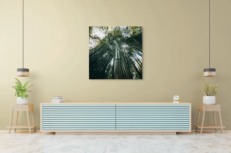 Tablou Canvas, "Pădurea de bambus înălțându-se spre cer", Verde, Bambus, Înalt, Natură, Cer, Frunziș, Lumină, Perspectivă, Tulpină, Vitalitate, 100 x 100 cm – poza 5