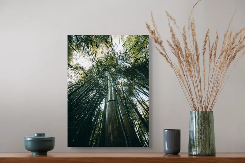 Tablou Canvas, "Pădurea de bambus înălțându-se spre cer", Verde, Bambus, Înalt, Natură, Cer, Frunziș, Lumină, Perspectivă, Tulpină, Vitalitate, 39 x 54 cm – poza 3