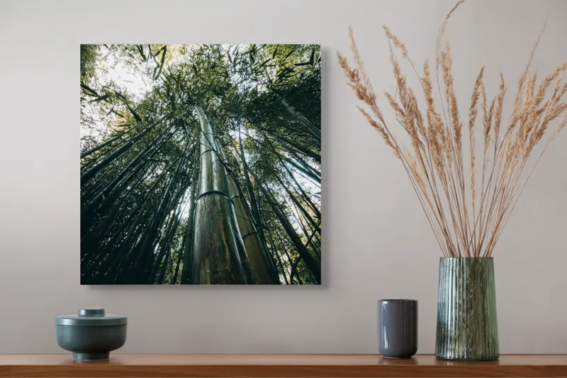 Tablou Canvas, "Pădurea de bambus înălțându-se spre cer", Verde, Bambus, Înalt, Natură, Cer, Frunziș, Lumină, Perspectivă, Tulpină, Vitalitate, 50 x 50 cm – poza 4
