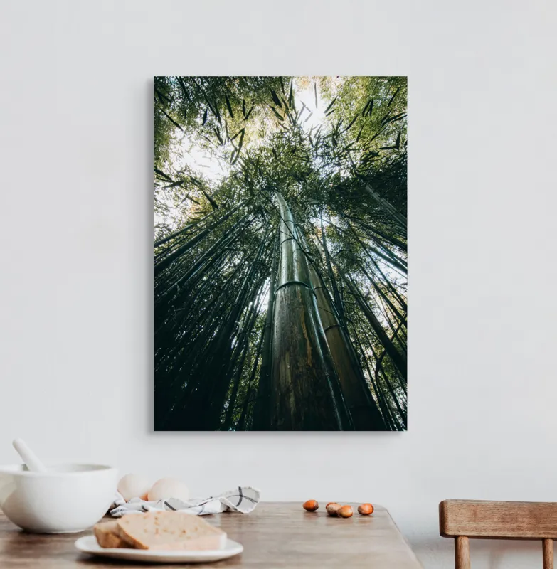 Tablou Canvas, "Pădurea de bambus înălțându-se spre cer", Verde, Bambus, Înalt, Natură, Cer, Frunziș, Lumină, Perspectivă, Tulpină, Vitalitate, 50 x 70 cm – poza 3