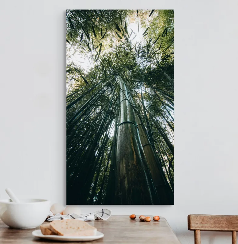 Tablou Canvas, "Pădurea de bambus înălțându-se spre cer", Verde, Bambus, Înalt, Natură, Cer, Frunziș, Lumină, Perspectivă, Tulpină, Vitalitate, 50 x 90 cm – poza 3