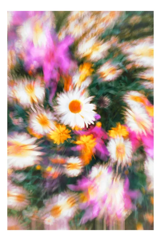 Tablou Canvas, "Vârtej floral într-o vară colorată", Flori, Culori, Dinamism, Energie, Vioiciune, Natură, Petale, Vârtej, Primăvară, Strălucire, 26 x 39 cm