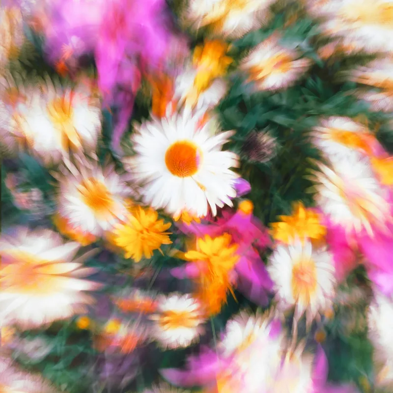 Tablou Canvas, "Vârtej floral într-o vară colorată", Flori, Culori, Dinamism, Energie, Vioiciune, Natură, Petale, Vârtej, Primăvară, Strălucire, 100 x 100 cm – poza 2
