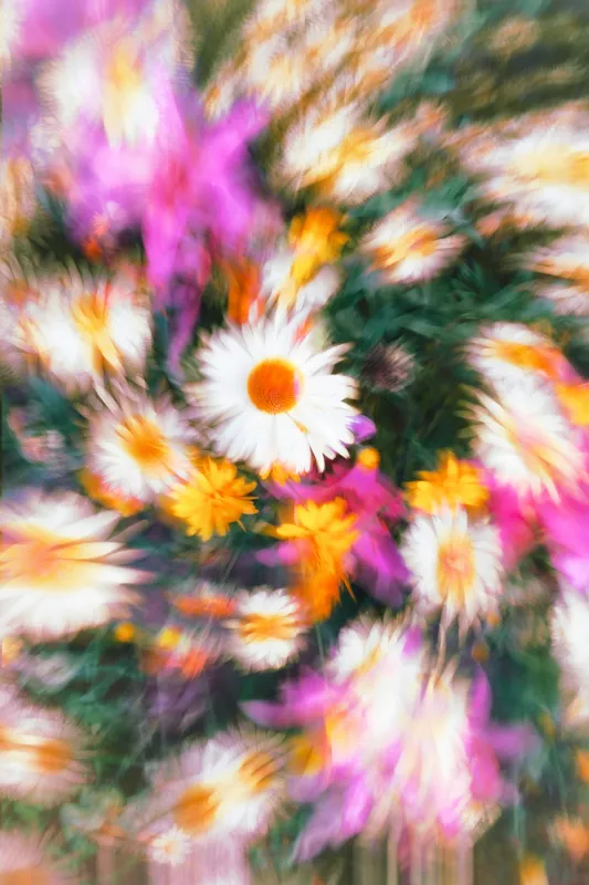Tablou Canvas, "Vârtej floral într-o vară colorată", Flori, Culori, Dinamism, Energie, Vioiciune, Natură, Petale, Vârtej, Primăvară, Strălucire, 100 x 150 cm – poza 2