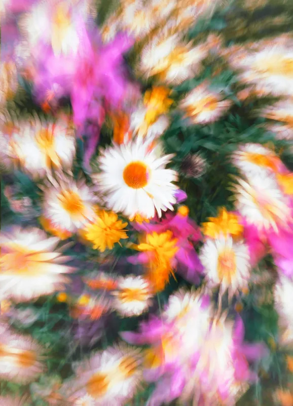Tablou Canvas, "Vârtej floral într-o vară colorată", Flori, Culori, Dinamism, Energie, Vioiciune, Natură, Petale, Vârtej, Primăvară, Strălucire, 39 x 54 cm – poza 2