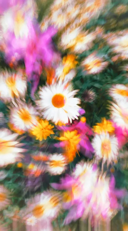Tablou Canvas, "Vârtej floral într-o vară colorată", Flori, Culori, Dinamism, Energie, Vioiciune, Natură, Petale, Vârtej, Primăvară, Strălucire, 50 x 90 cm – poza 2