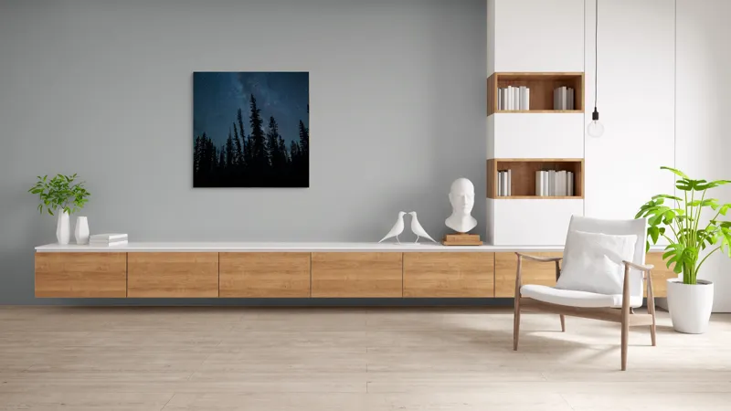 Tablou Canvas, "Cer înstelat peste pădurea tăcută", Stele, Cer, Pini, Noapte, Siluetă, Pădure, Întuneric, 100 x 100 cm – poza 8