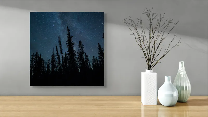 Tablou Canvas, "Cer înstelat peste pădurea tăcută", Stele, Cer, Pini, Noapte, Siluetă, Pădure, Întuneric, 50 x 50 cm – poza 3