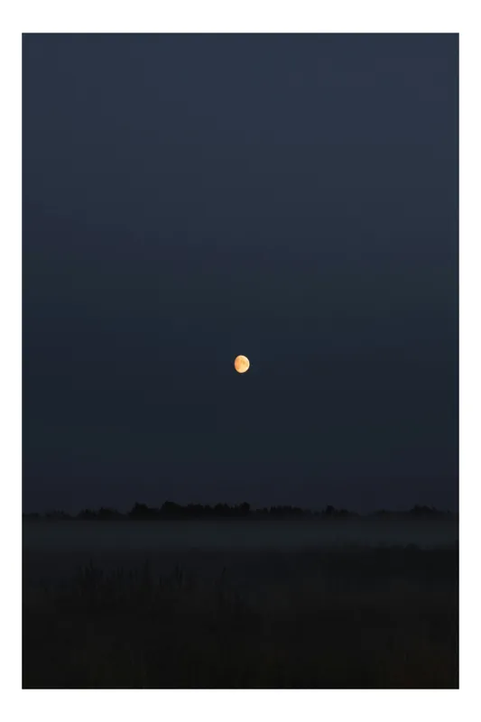 Tablou Canvas, "Luna strălucind peste câmp întunecat", Lună, Noapte, Cer, Siluetă, Mister, Liniște, Întuneric, Natură, Frumusețe, Calm, 39 x 54 cm