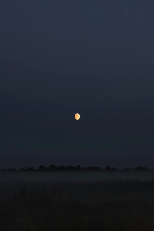 Tablou Canvas, "Luna strălucind peste câmp întunecat", Lună, Noapte, Cer, Siluetă, Mister, Liniște, Întuneric, Natură, Frumusețe, Calm, 100 x 150 cm – poza 2