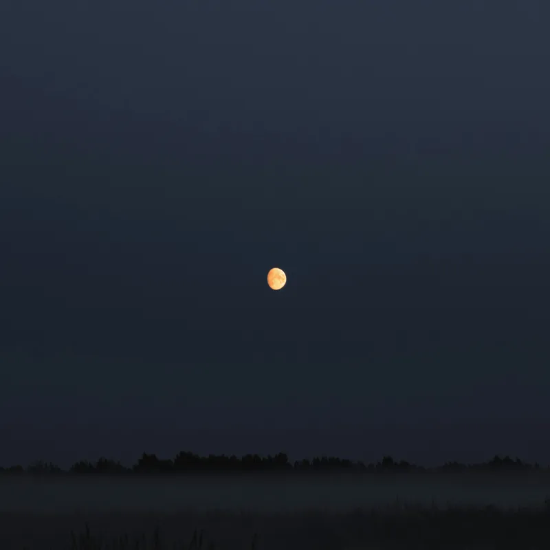 Tablou Canvas, "Luna strălucind peste câmp întunecat", Lună, Noapte, Cer, Siluetă, Mister, Liniște, Întuneric, Natură, Frumusețe, Calm, 50 x 50 cm – poza 2