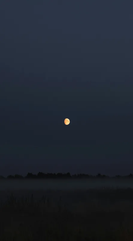 Tablou Canvas, "Luna strălucind peste câmp întunecat", Lună, Noapte, Cer, Siluetă, Mister, Liniște, Întuneric, Natură, Frumusețe, Calm, 50 x 90 cm – poza 2