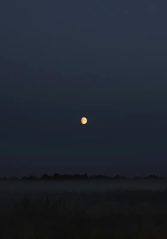Tablou Canvas, "Luna strălucind peste câmp întunecat", Lună, Noapte, Cer, Siluetă, Mister, Liniște, Întuneric, Natură, Frumusețe, Calm, 70 x 100 cm – poza 2
