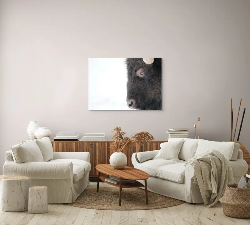 Tablou Canvas, "Bizon în calmul iernii albe", Bizon, Profil, Blană, Coarne, Privire, Natură, Zăpadă, Linii, Contrast, Serenitate, 100 x 70 cm – poza 3