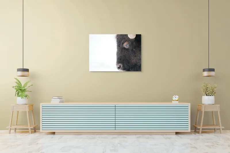 Tablou Canvas, "Bizon în calmul iernii albe", Bizon, Profil, Blană, Coarne, Privire, Natură, Zăpadă, Linii, Contrast, Serenitate, 100 x 70 cm – poza 4