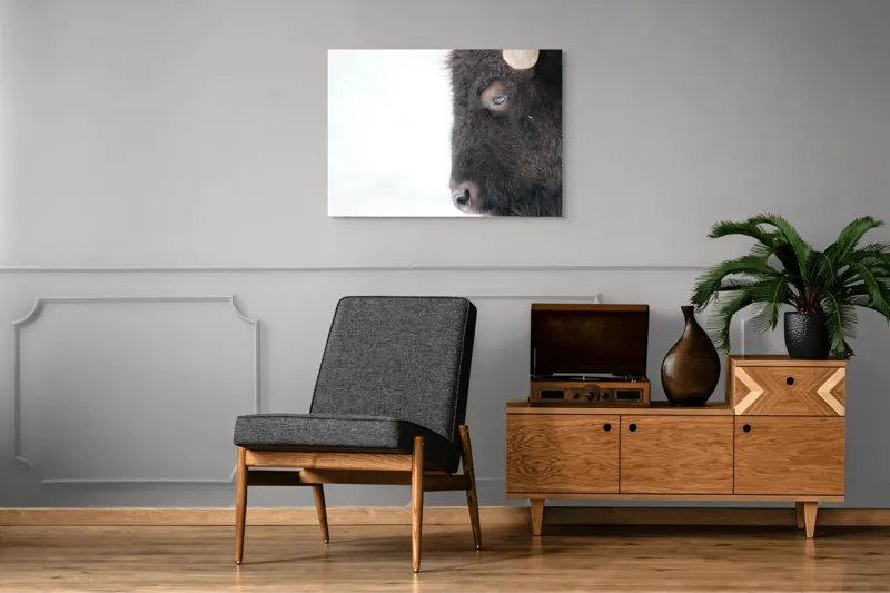 Tablou Canvas, "Bizon în calmul iernii albe", Bizon, Profil, Blană, Coarne, Privire, Natură, Zăpadă, Linii, Contrast, Serenitate, 100 x 70 cm – poza 8
