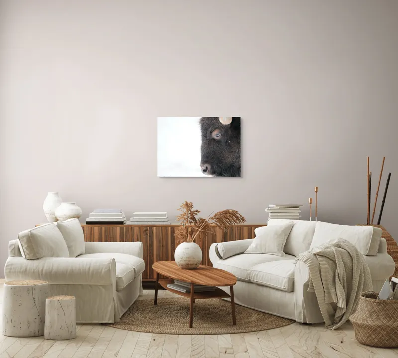 Tablou Canvas, "Bizon în calmul iernii albe", Bizon, Profil, Blană, Coarne, Privire, Natură, Zăpadă, Linii, Contrast, Serenitate, 70 x 50 cm – poza 6