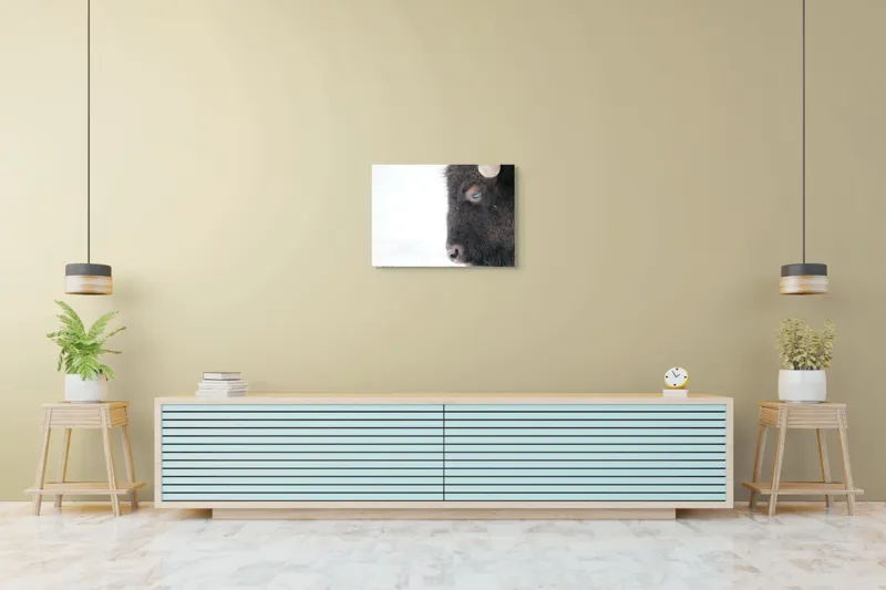 Tablou Canvas, "Bizon în calmul iernii albe", Bizon, Profil, Blană, Coarne, Privire, Natură, Zăpadă, Linii, Contrast, Serenitate, 70 x 50 cm – poza 7