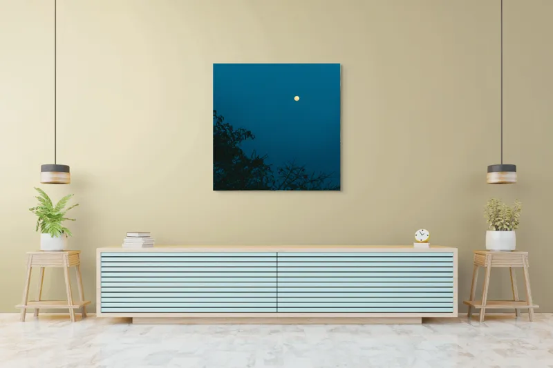 Tablou Canvas, "Luna plină strălucind în noapte", Lună, Cer, Albastru, Siluete, Crengi, Noapte, Liniște, Mister, Natură, Întuneric, 100 x 100 cm – poza 5