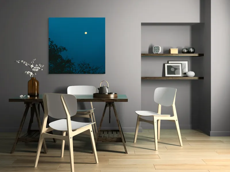 Tablou Canvas, "Luna plină strălucind în noapte", Lună, Cer, Albastru, Siluete, Crengi, Noapte, Liniște, Mister, Natură, Întuneric, 100 x 100 cm – poza 6