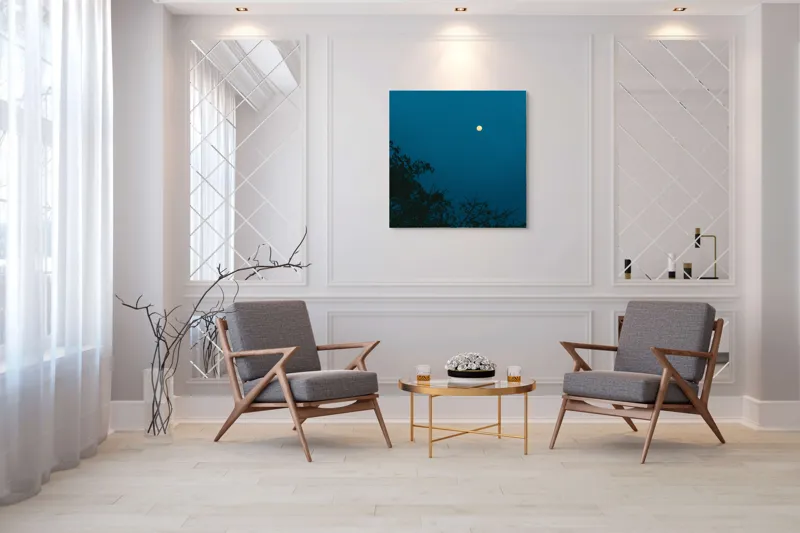 Tablou Canvas, "Luna plină strălucind în noapte", Lună, Cer, Albastru, Siluete, Crengi, Noapte, Liniște, Mister, Natură, Întuneric, 100 x 100 cm – poza 7
