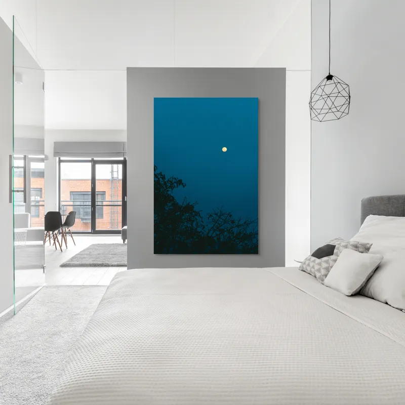 Tablou Canvas, "Luna plină strălucind în noapte", Lună, Cer, Albastru, Siluete, Crengi, Noapte, Liniște, Mister, Natură, Întuneric, 100 x 150 cm – poza 5