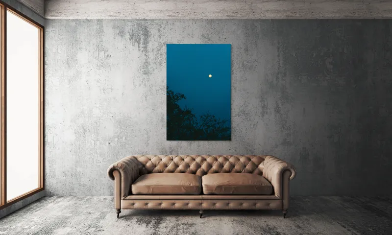 Tablou Canvas, "Luna plină strălucind în noapte", Lună, Cer, Albastru, Siluete, Crengi, Noapte, Liniște, Mister, Natură, Întuneric, 100 x 150 cm – poza 6