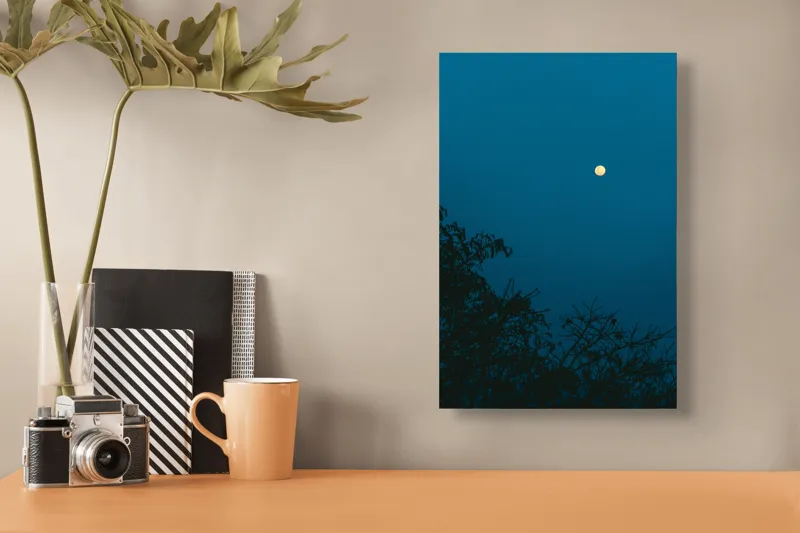 Tablou Canvas, "Luna plină strălucind în noapte", Lună, Cer, Albastru, Siluete, Crengi, Noapte, Liniște, Mister, Natură, Întuneric, 26 x 39 cm – poza 3