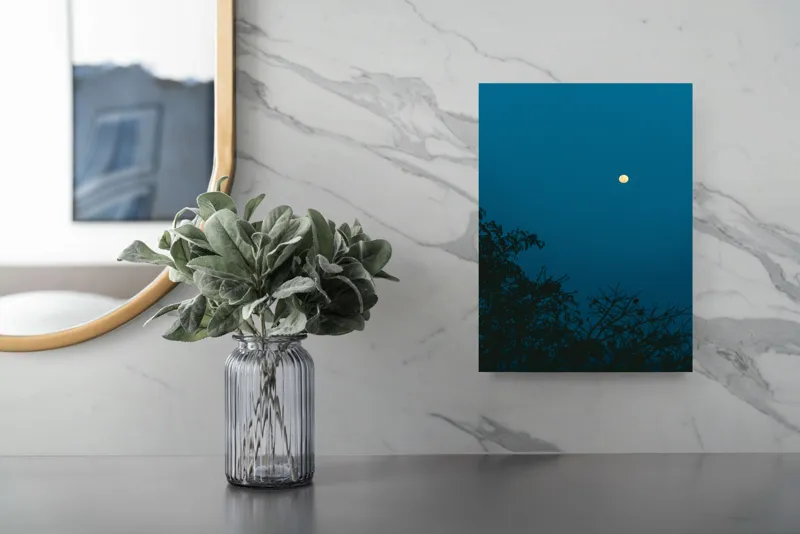Tablou Canvas, "Luna plină strălucind în noapte", Lună, Cer, Albastru, Siluete, Crengi, Noapte, Liniște, Mister, Natură, Întuneric, 26 x 39 cm – poza 4
