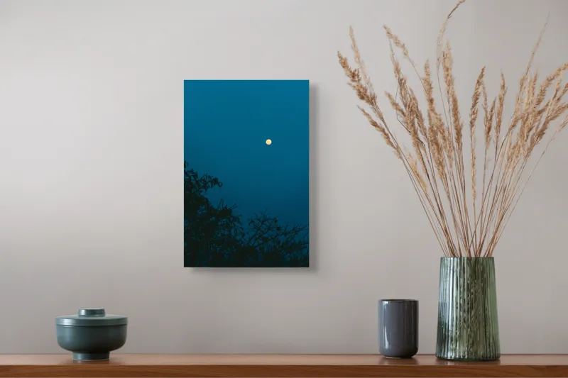 Tablou Canvas, "Luna plină strălucind în noapte", Lună, Cer, Albastru, Siluete, Crengi, Noapte, Liniște, Mister, Natură, Întuneric, 26 x 39 cm – poza 5