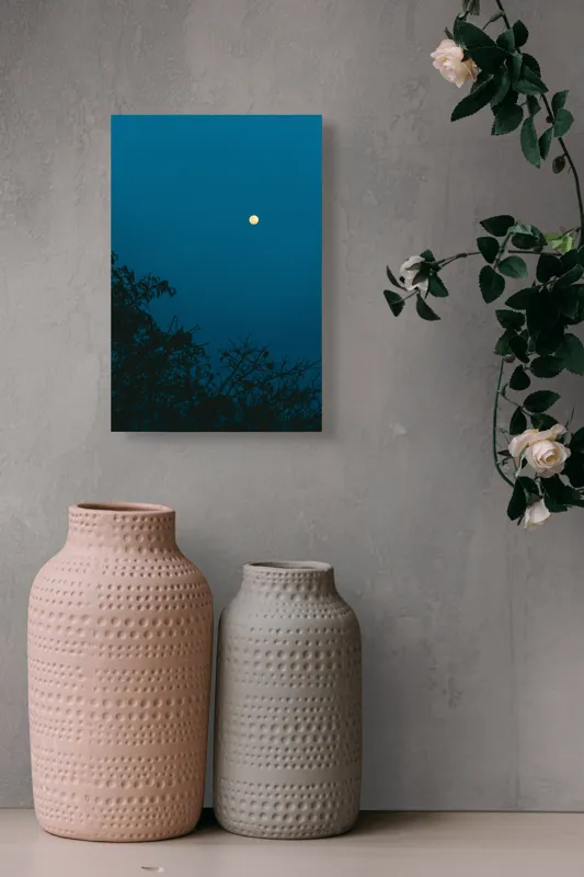 Tablou Canvas, "Luna plină strălucind în noapte", Lună, Cer, Albastru, Siluete, Crengi, Noapte, Liniște, Mister, Natură, Întuneric, 26 x 39 cm – poza 6