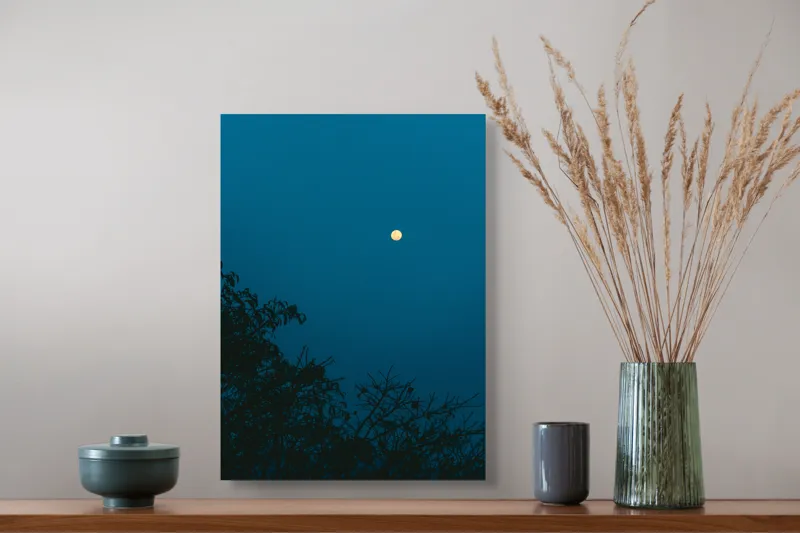 Tablou Canvas, "Luna plină strălucind în noapte", Lună, Cer, Albastru, Siluete, Crengi, Noapte, Liniște, Mister, Natură, Întuneric, 39 x 54 cm – poza 3
