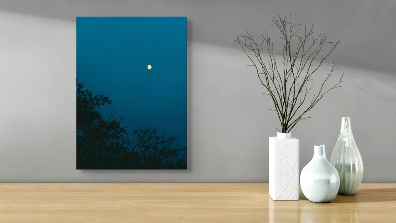 Tablou Canvas, "Luna plină strălucind în noapte", Lună, Cer, Albastru, Siluete, Crengi, Noapte, Liniște, Mister, Natură, Întuneric, 39 x 54 cm – poza 4